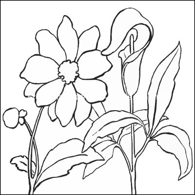 Flower Coloring Pages 7