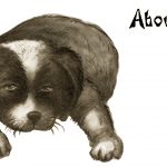 Cute Dog Cartoons 3 - About All In
