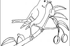 Coloring Pages for Kids to Print 1
