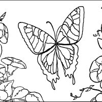 Coloring Pages for Kids to Print