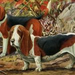 Dog Pictures 4 - Beagle and Basset