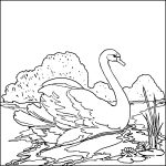 Free Coloring Pages for Children 4