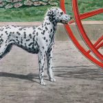 Dog Drawings 1 - A Spotted Dalmation