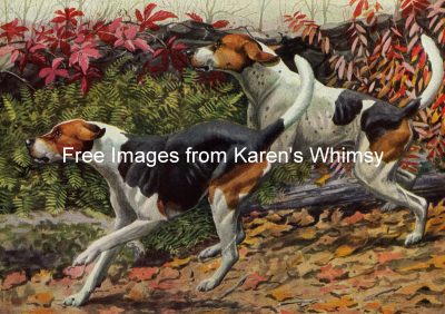 Dog Drawings 2 - English and American Foxhounds