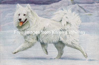 Free Dog Clipart 6 - Siberian Reindeer Dog