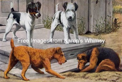 Dog Illustrations 6 - A Group of Terriers