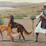 Dog Clipart 1 - Persian Gazelle Hound