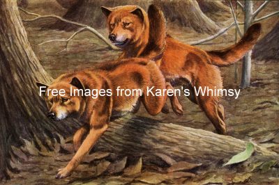Dog Clipart 3 - Dingos on the Run