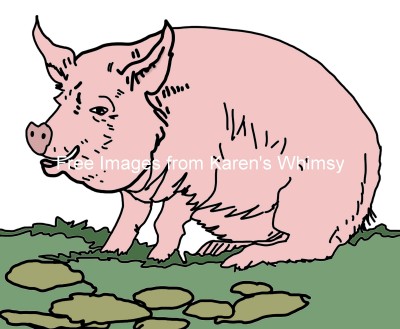 Pig Images 6 - Large Pig on Grass