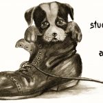 Cute Dog Pictures 7 - Stuck in a Shoe