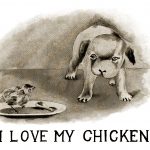 Cute Dog Pictures 8 - Chicken Love