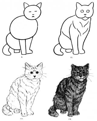 Pictures of Cats 8 - Draw a Cat
