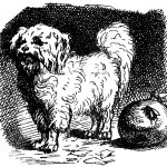 Dog Clipart Images 3 - Fluff Ball