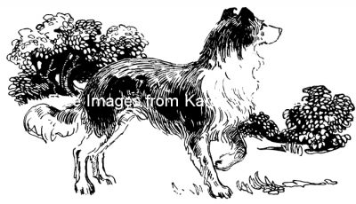 Dog Clipart Images 4 - On the Lookout