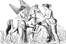 Greek Mythology Images 7 - Pegasus and Nymphs